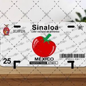 Nummernschild - Sinaloa 1 V1 - NUR PNG DATEI
