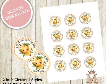 Little Cuties Cupcake Toppers! 2 inch Circles! Oranges Baby Shower! Sticker Template!