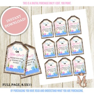 Fish Favor Tags! Gender Reveal Favor Tags! Instant Download, Pink and Blue! Fish-He or Fish-She!
