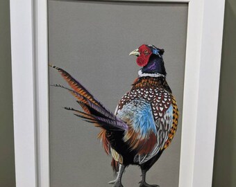 signed LIMITED EDITON wildlife bird art PRINT original running PHEASANT nature