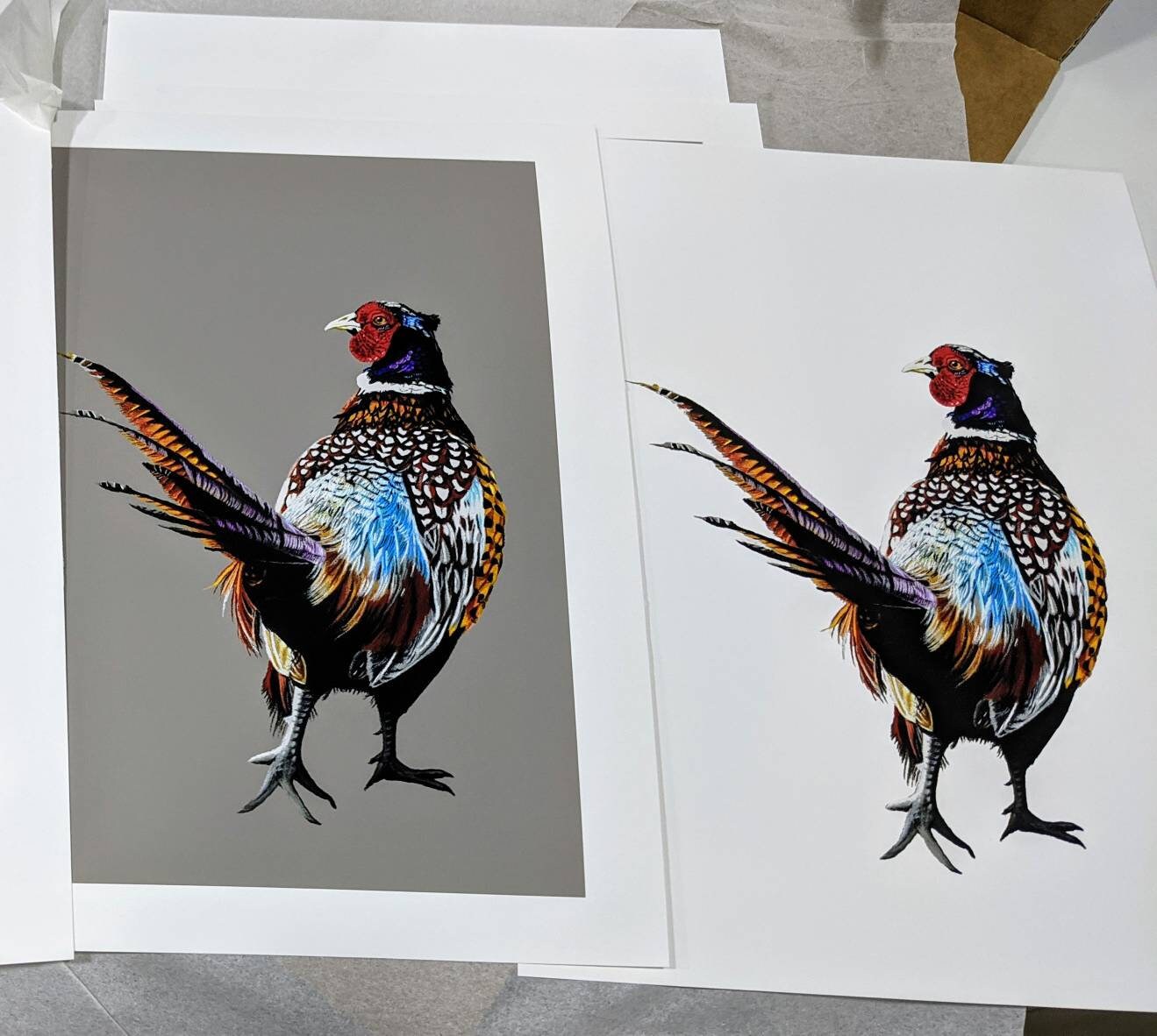 Pheasant Framed Print Framed Pheasant Print Pheasant Wall - Etsy