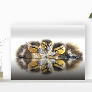 Baby Ducklings Fine Art Print, Duckling wall Art, Duck decor, fluffy Ducks hanging, hand signed with a Certificate of Authenticity image 1