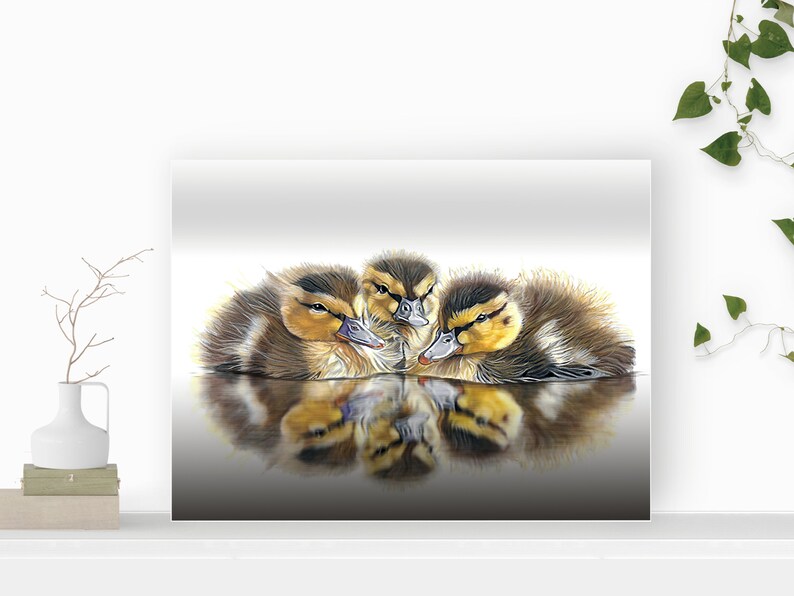 Baby Ducklings Fine Art Print, Duckling wall Art, Duck decor, fluffy Ducks hanging, hand signed with a Certificate of Authenticity image 1