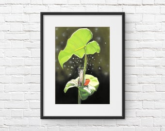 Frog art print of New Dawn - garden art print - pond art print - reptile art print - created by Scottish wildlife artist Lynsey Isles