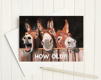 How Old? Birthday card - Donkey Humour birthday card - ass birthday card - really old card -card for old person - donkey card