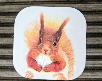 Red Squirrel high gloss drinks coaster set, Squirrel coasters, Red Squirrel gift set,  Red Squirrels barware, squirrel coaster kit