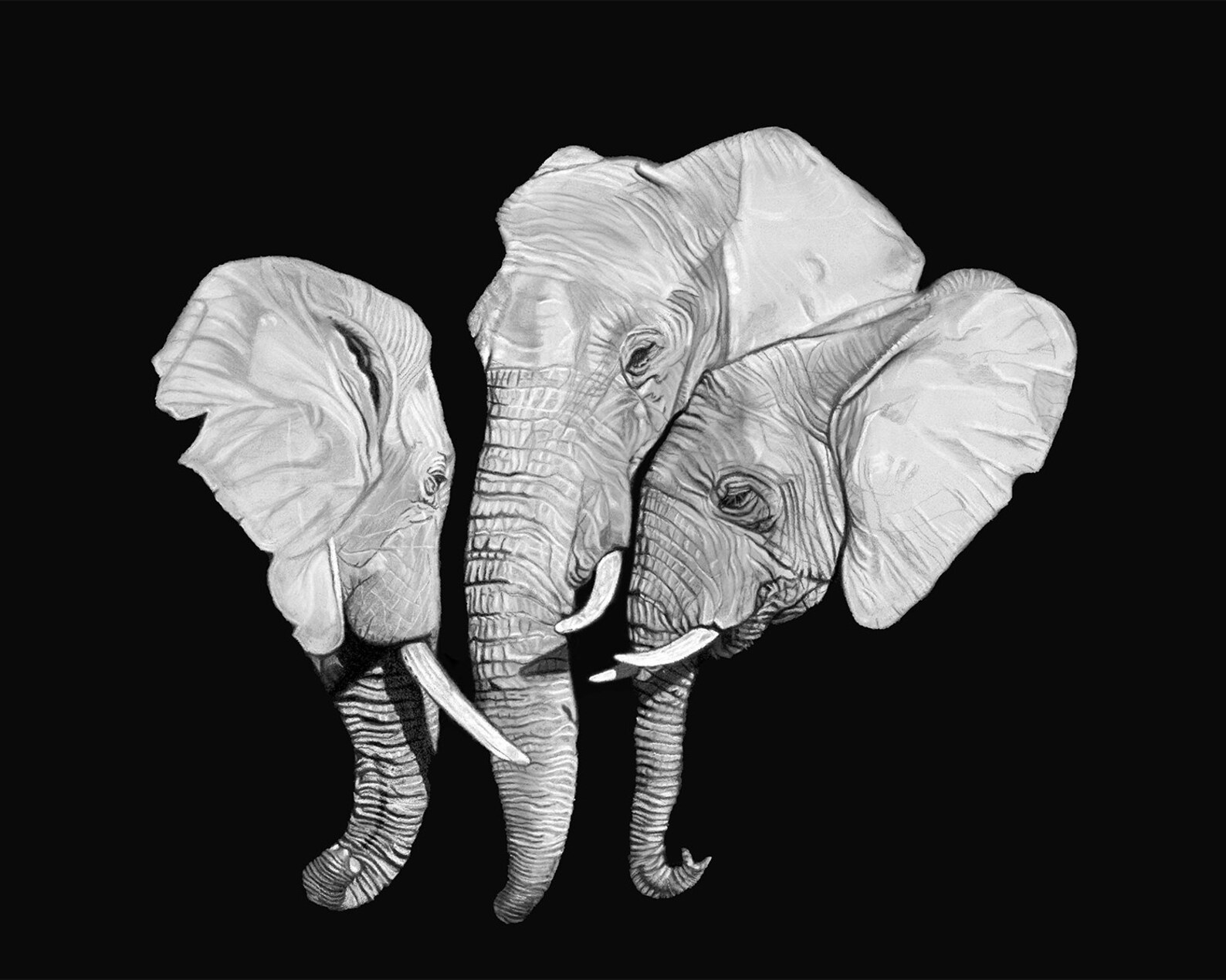 Elephant Art Print Elephant Wall Art African Elephant Print Elephant