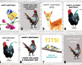 Fun Birthday card bundle, Mix and Match, birthday humour, greeting card bundle, 4, 6, 8