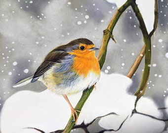 Winter Red Robin Fine Art print - Robin Redbreast art  - Robin wall decor - Robin art - Winter Robin - Robin gift