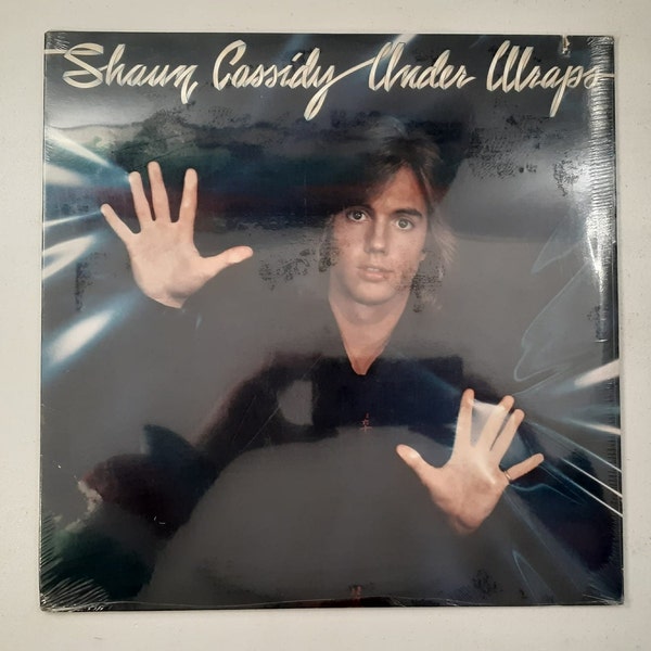 Shaun Cassidy Etsy