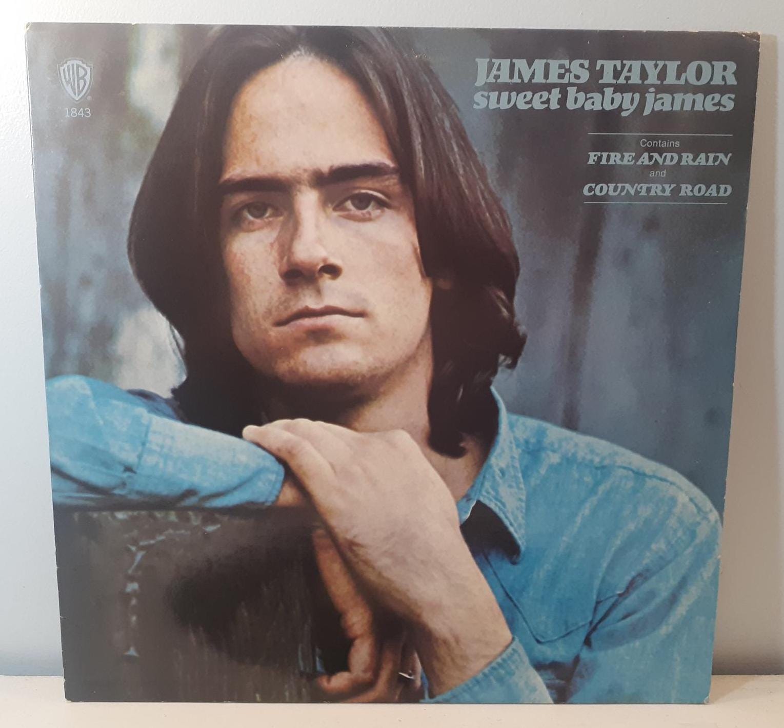James Taylor Fire & Rain Tour Tシャツ 1981 Fire and Rain James Taylor - Etsy