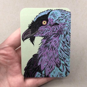 Vulture Portrait Vinyl Sticker