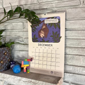 May include: A wall calendar for December featuring a cartoon illustration of a Hammerhead Bat hanging upside down. The calendar has a spiral binding and a grid layout for the days of the month. The background is a light purple color with green leaves.