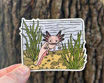 Axolotl Salamander Weatherproof Vinyl Sticker Decal | Strange and Bizarre Animals Gift