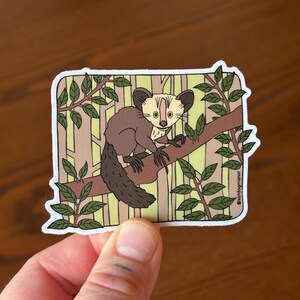 May include: A sticker featuring an aye-aye lemur illustration. The lemur is brown with a long, bushy tail, perched on a tree branch with green leaves. The background has a light green and brown striped pattern. The sticker has a white border.