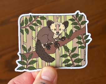 Aye Aye Lemur Waterproof Vinyl Sticker Decal | Strange and Bizarre Animals Gift
