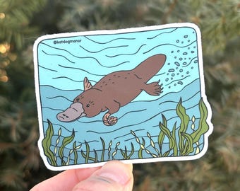 Platypus Waterproof Vinyl Sticker Decal | Strange and Bizarre Animals Gift | Puzzle Mammal