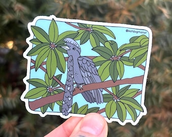 Umbrella Bird Vinyl Sticker | Waterproof Decal, Strange Animal Gift | Long Waddled Umbrellabird