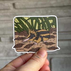 May include: A sticker featuring a cartoon illustration of a small, spiky animal with a long snout, set against a backdrop of green grass and brown leaves. The animal has a black and tan striped pattern. The sticker has a white border and the text "@katdogmanor".
