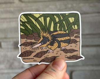 Streaked Tenrec Weatherproof Vinyl Sticker Decal | Strange and Bizarre Animals Gift | Porcupine