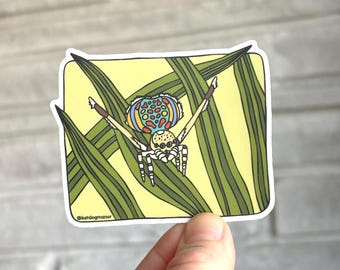 Peacock Spider Waterproof Vinyl Sticker Decal | Strange and Bizarre Animals Gift | Dancing Spider