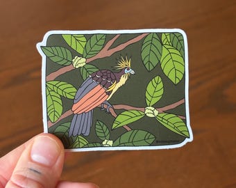 Hoatzin Bird Waterproof Vinyl Sticker Decal | Strange and Bizarre Animals Gift | Dinosaur Bird