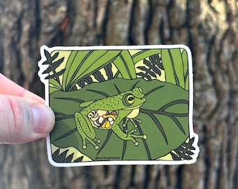 Glass Frog Waterproof Vinyl Sticker Decal | Strange and Bizarre Animals Gift