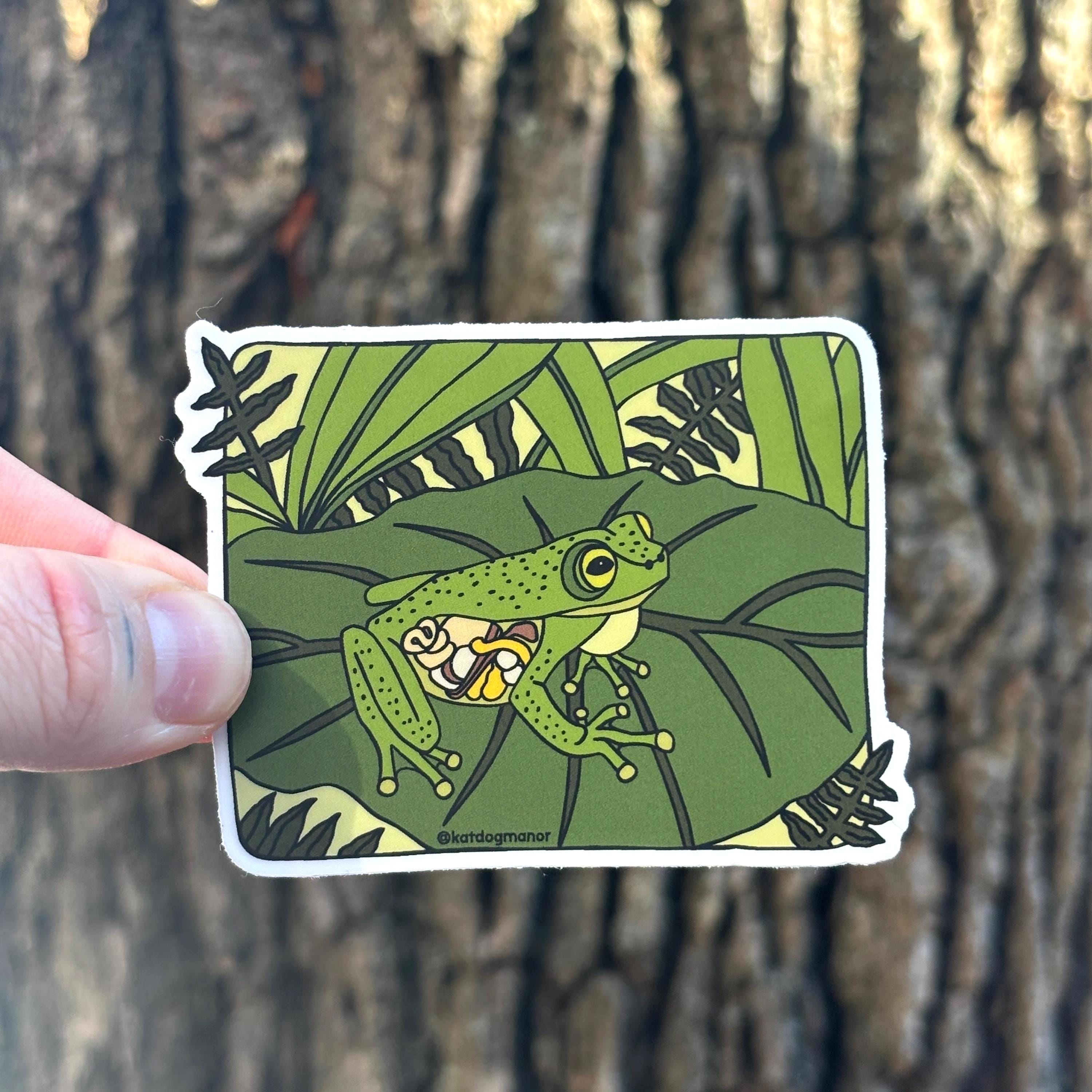 Glass Frog Waterproof Vinyl Sticker Decal | Strange and Bizarre Animals ...