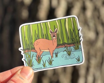 Chinese Water Deer Weatherproof Vinyl Sticker Decal | Strange and Bizarre Animals Gift