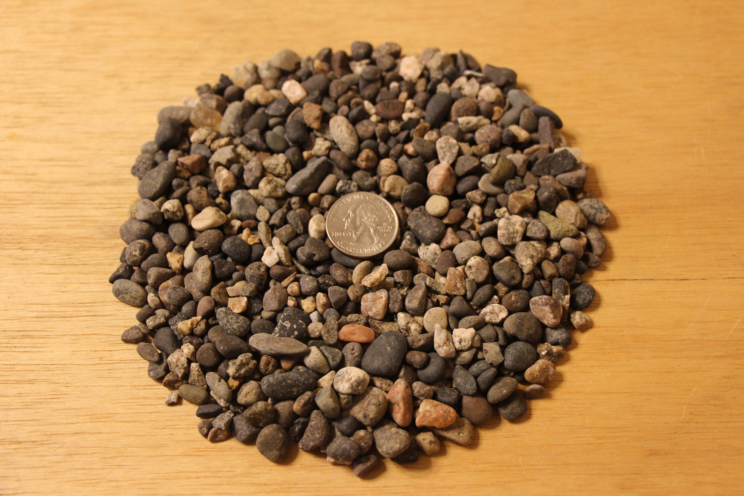 Washed Pea Gravel Aquarium Substrate buy 2 Get 1 Free Etsy Australia