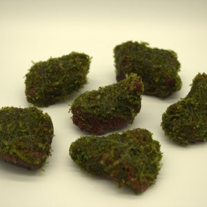 Java Moss on Red Lava Rock