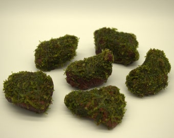 Java Moss on Red Lava Rock