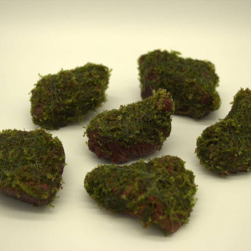 Mosey Rocks Moss Pet Rocks - Etsy