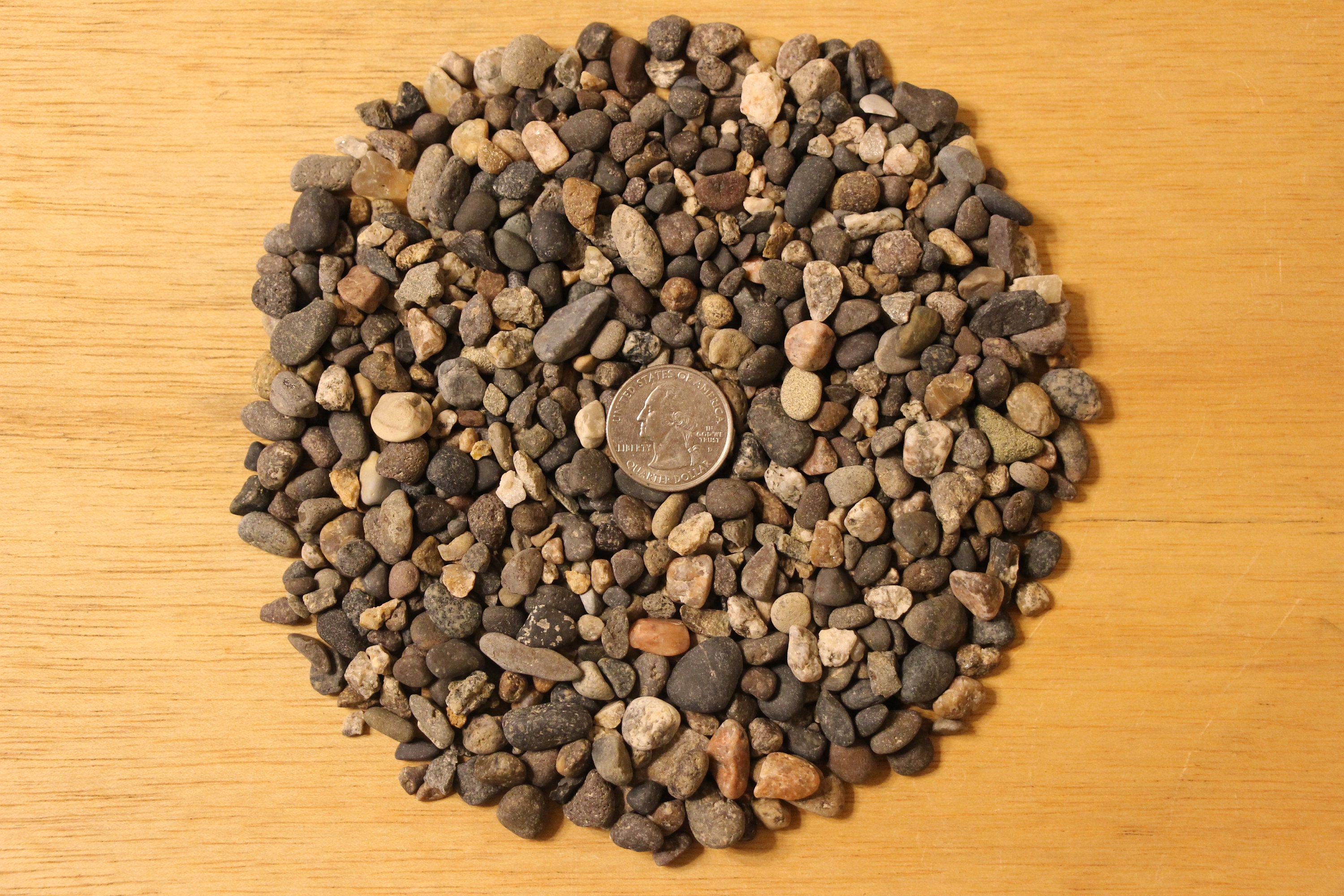 Washed Pea Gravel Aquarium Substrate buy 2 Get 1 Free Etsy Australia