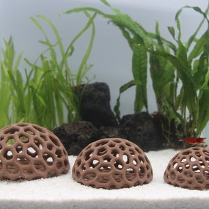 Aquarium Shrimp Dome Shelter