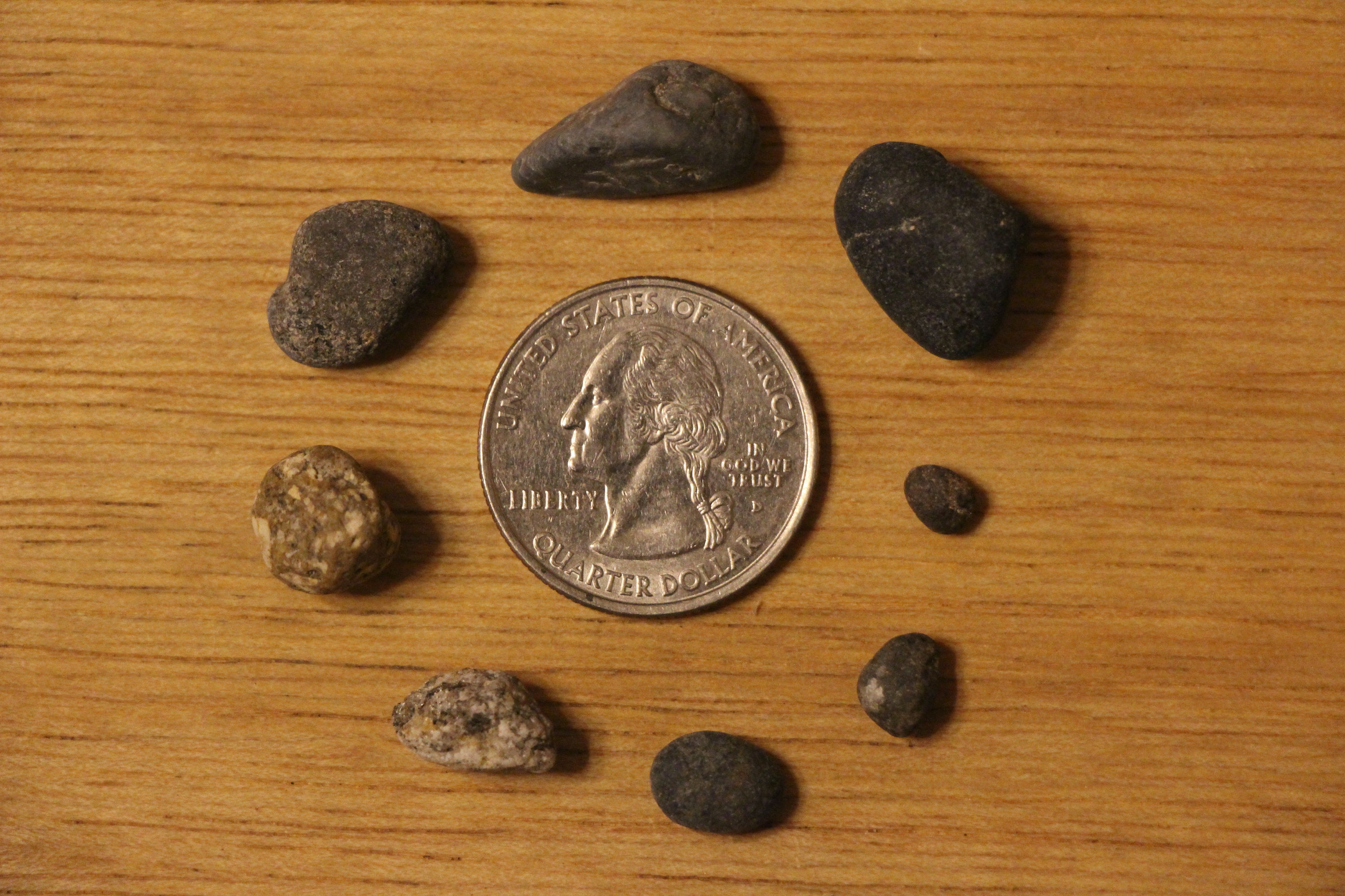 Washed Pea Gravel Aquarium Substrate buy 2 Get 1 Free Etsy Canada