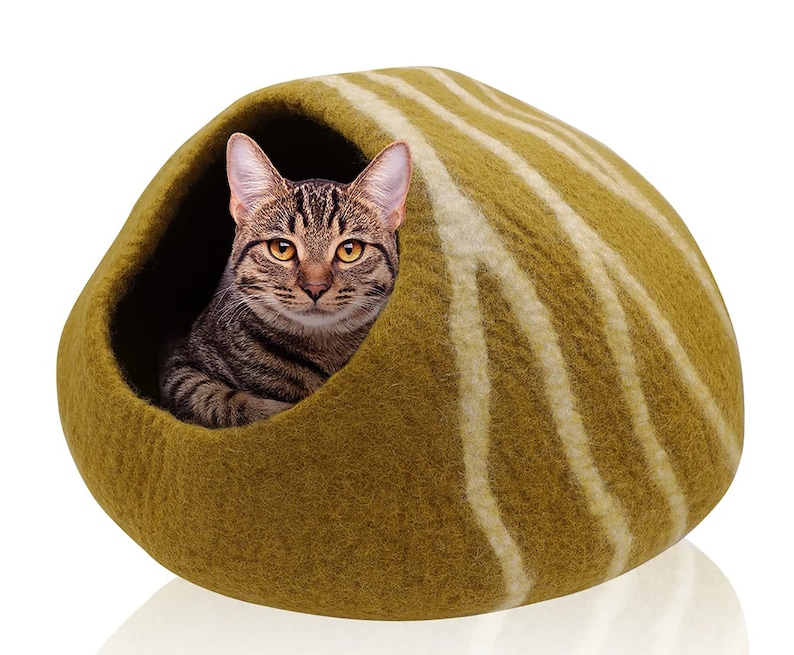 May include: A tabby cat sits inside a green and white striped cat bed. The cat bed is a rounded, enclosed shape, providing a cozy space for the cat. The cat has brown and black stripes.