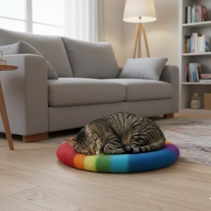 May include: A tabby cat is curled up asleep on a rainbow-colored pet bed. The bed is a circular shape with bands of red, orange, yellow, green, and blue. The cat is brown and black with stripes.