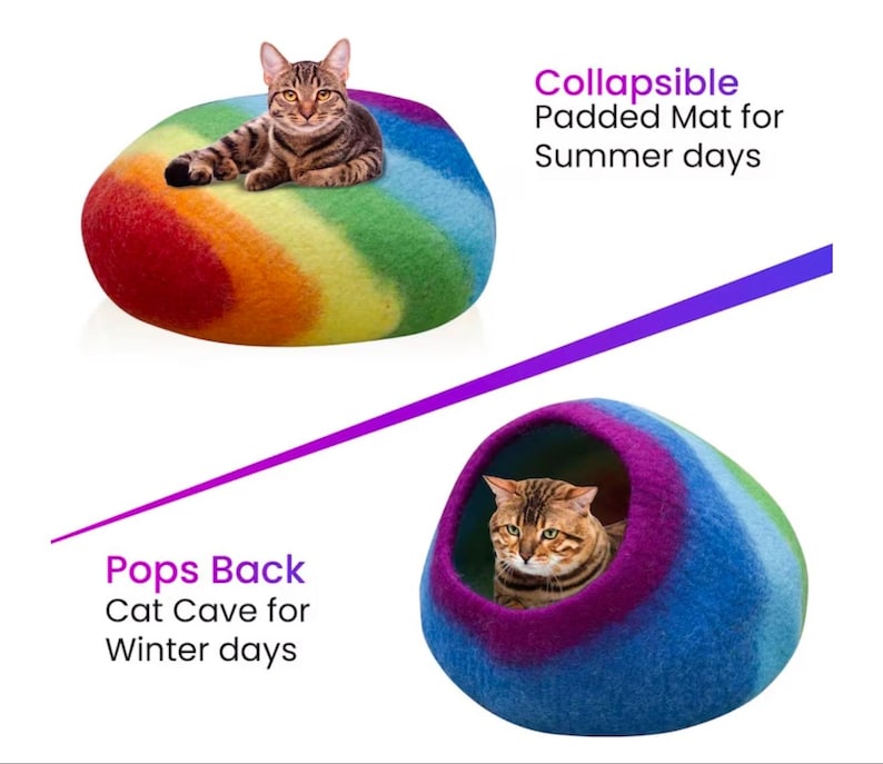 May include: A cat rests on a rainbow-colored, padded mat, and inside a blue, purple, and green cat cave. The text reads "Collapsible Padded Mat for Summer days" and "Pops Back Cat Cave for Winter days".
