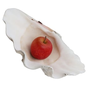 Könnte beinhalten: Eine große, weiße Muschelschale mit organischer Form, glattem, hellem Inneren und einem strukturierten, unregelmäßigen Außenrand. Ein einzelner, runder, leuchtend roter Apfel mit einem kleinen braunen Stiel liegt in der Mitte der Schale.