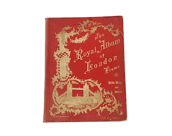 Vintage London Views Album: 1895 Photo Lithographs, Map & Index