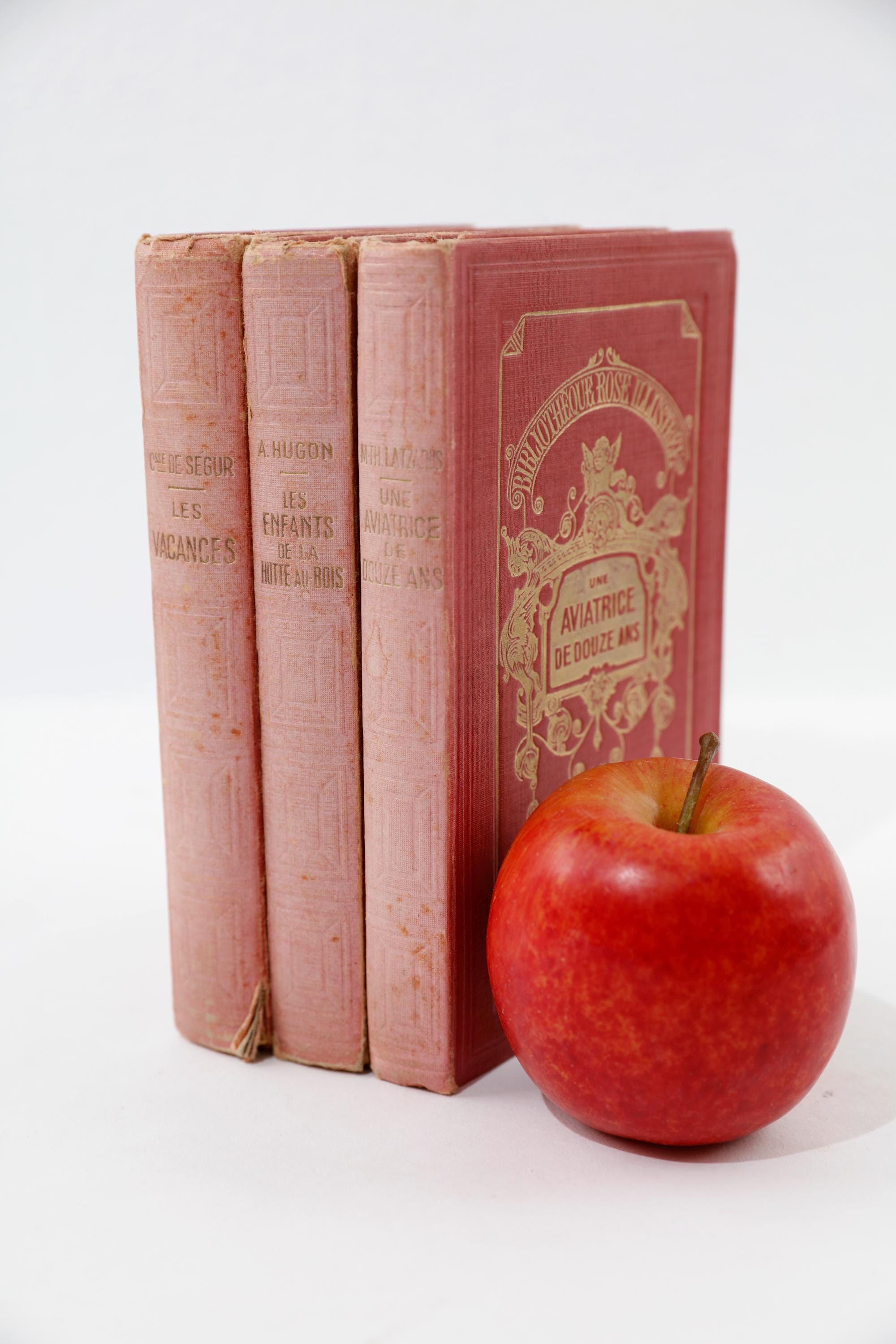 Antique French Books: Red 