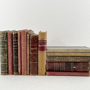 Antikes Hendrik Con Science Bücher Set: 19 Jahrhundert Dekorative Bücher