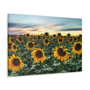 Golden Dreamscape: Sunflower Field at Sunset - Canvas Gallery Wrap