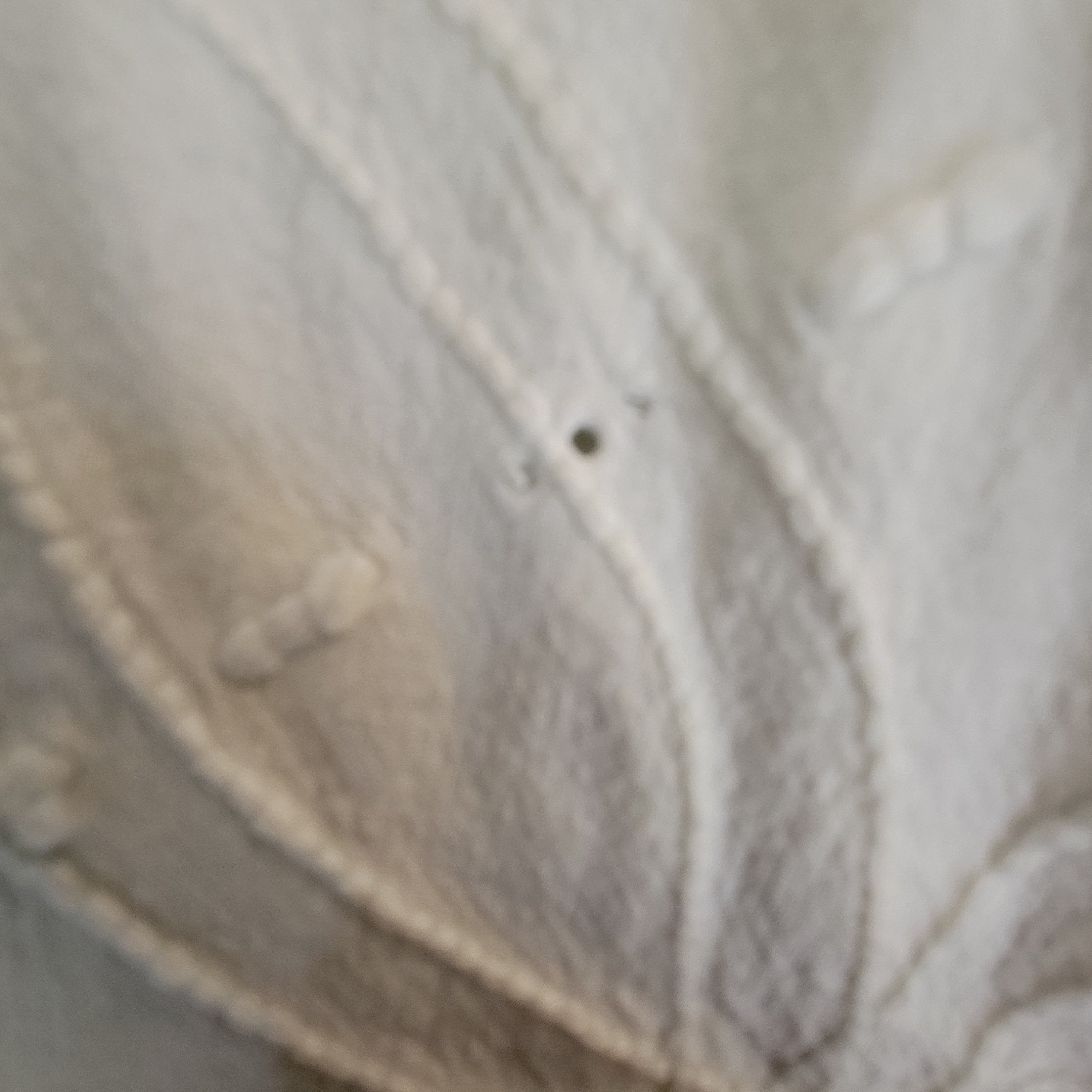 Vintage 50s Cabin Crafts Needle Tuft Original Hobnail Chenille Pale