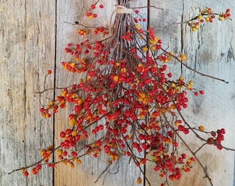 Bittersweet LARGE Bouquet, Christmas Bouquet ,Bittersweet Bundle Of Twigs and Berries, Bitter Sweet Berries, Bittersweet Vine
