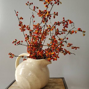 Bittersweet Bundle of Twigs and Berries, Real Bittersweet Vine and Branches, Fall Halloween Autumn Thanksgiving Table Decor