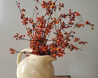 Bittersweet Bundle of Twigs and Berries, Real Bittersweet Vine and Branches, Fall Halloween Autumn Thanksgiving Table Decor