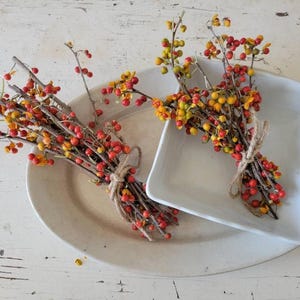 May include: Two bundles of dried twigs with small red and yellow berries, each tied with a piece of natural twine. One bundle rests on an oval white ceramic platter, while the other is placed inside a square white ceramic bowl.