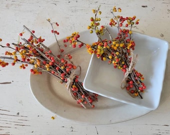 Bittersweet Bundle of Twigs and Berries, TWO small Bouquets Bittersweet Vine Branches, Fall Autumn Thanksgiving Table Decor